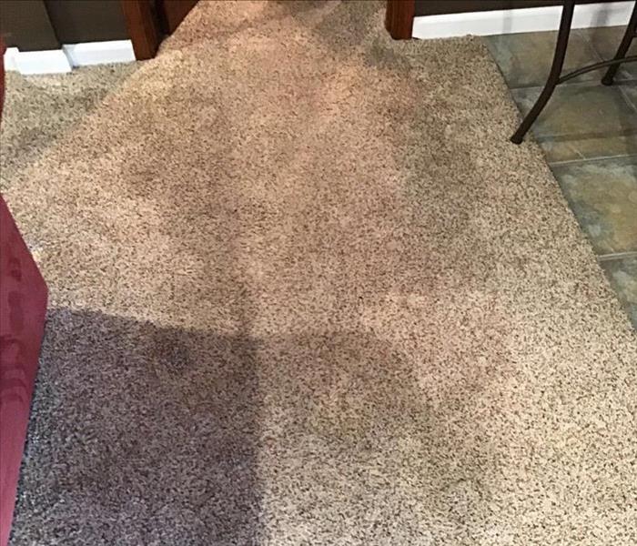 Wet carpet.